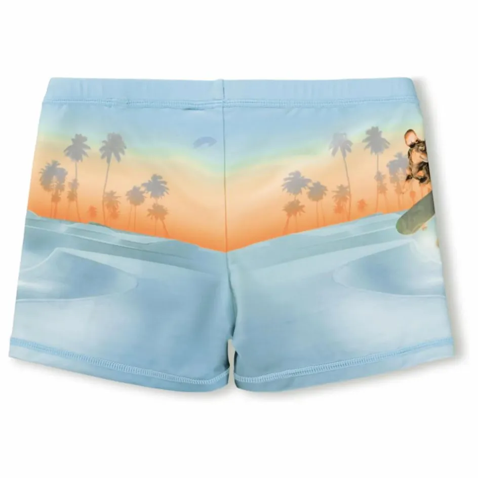 Online Molo Short de Bain Norton Placed Skate Fibres Recyclées | Bleu pâle