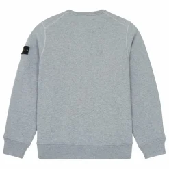 Outlet Stone Island Sweat | Gris