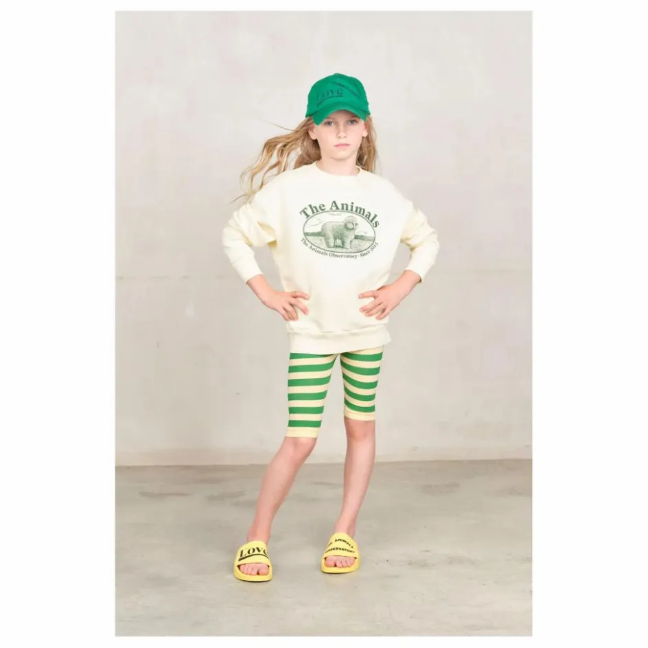 Enfant The Animals Observatory Sweats|Sweats*Sweat Bear The Animals |