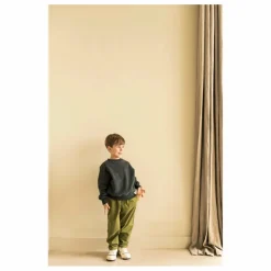 Clearance Jenest Sweat Bird NR 1 Coton Bio | Gris foncé