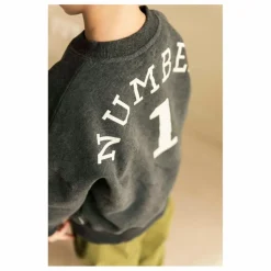 Clearance Jenest Sweat Bird NR 1 Coton Bio | Gris foncé