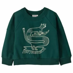 Online Patagonia Sweat Crew Coton Bio Bébé | Vert