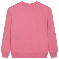 SMALLABLE BASICS Sweat Crewneck Homme Molleton Bio ||Homme Sweats, Pulls