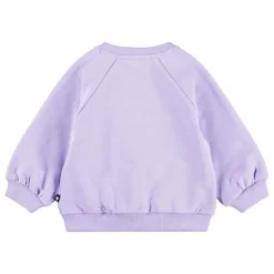 Clearance Molo Sweat Daphne Coton Bio | Lilas tLilas