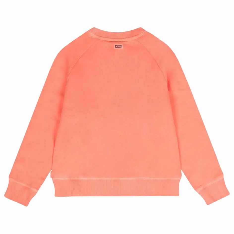 Best Sweat Fluo Coton Bio | Enfant Sweats