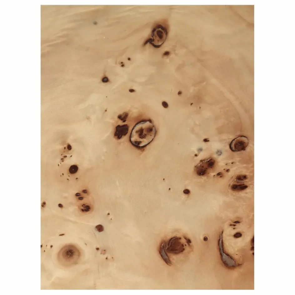 Clearance Table Basse Burl Tables, Bureaux
