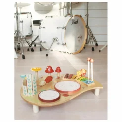 Tender Leaf Toys Table musicale| Musique