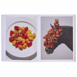 Homme Phaidon Livres|Livres, Jeux*The River Cafe Lookbook for Kids - EN