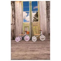 Banwood Tricycle en métal et bois || Vélos, Draisiennes