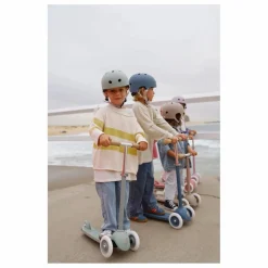 Banwood Trottinette Eco || Skates, Trottinettes