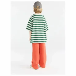 Enfant The Animals Observatory T-Shirts, Chemises|Blouses, T-Shirts*T-shirt Collie Rayé |