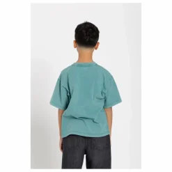 Finger in the nose T-shirt King Coton Bio | Vert