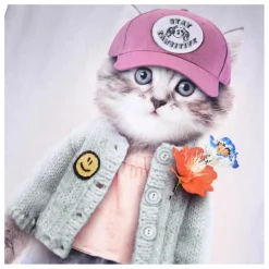 Enfant Molo Blouses, T-Shirts*T-shirt Ragnhilde Kitty Miauu Coton Bio |