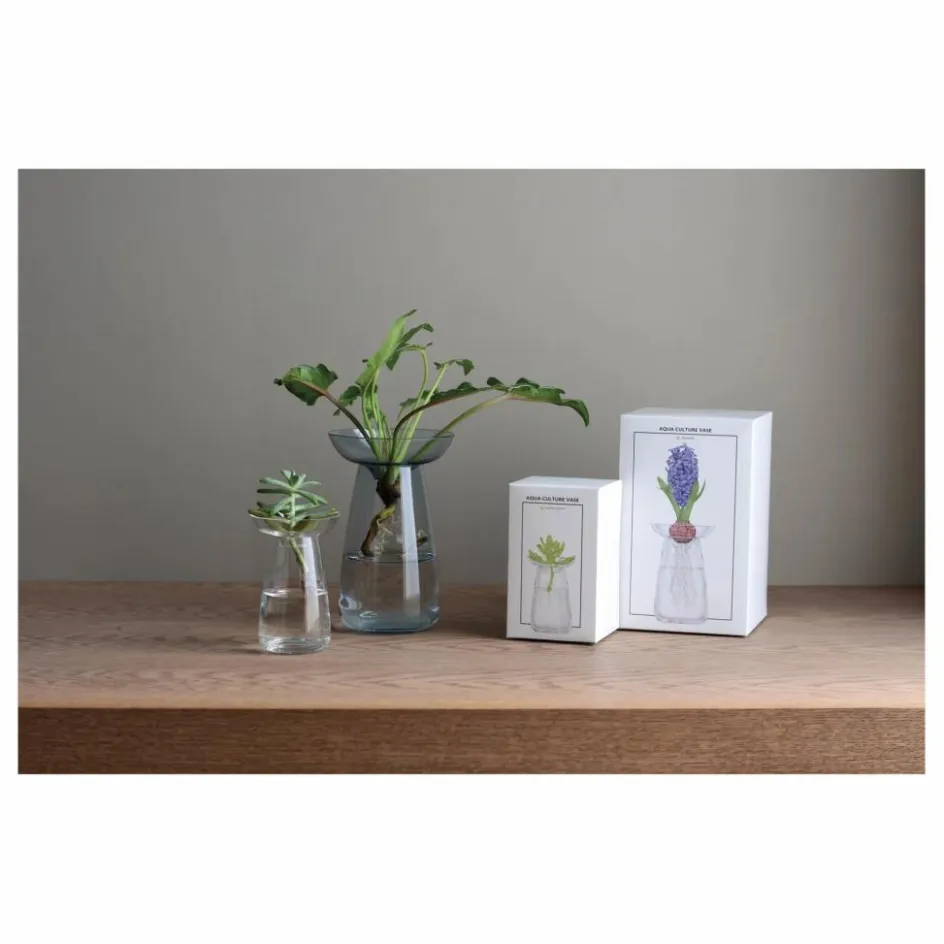 Kinto Vase en verre Aquaculture || Vases, Objets Déco
