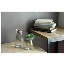 Outlet Vase en verre Aquaculture | Vases, Objets Déco