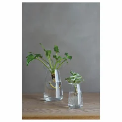 Outlet Kinto Vase en verre Aquaculture | Transparent