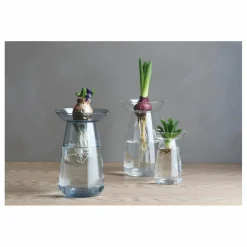 Outlet Kinto Vase en verre Aquaculture | Transparent